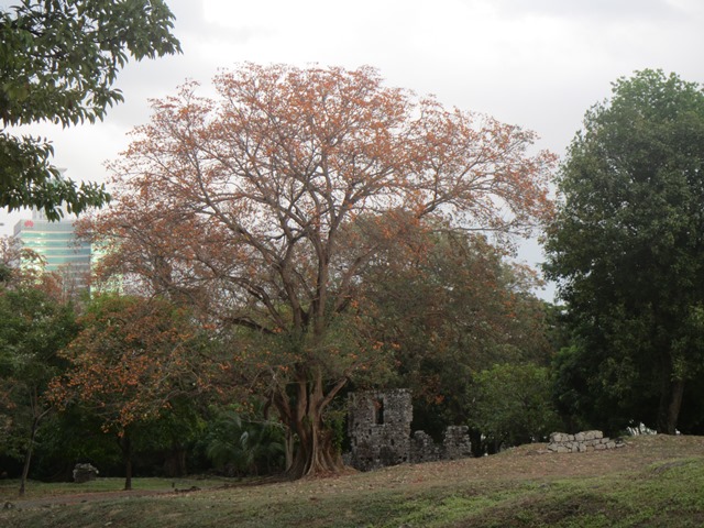 Casa de los Genoveses . Casa de los Genoveses del Conjunto Monumental Histórico de Panamá la Vieja. Fotografía Patronato de Panamá Viejo