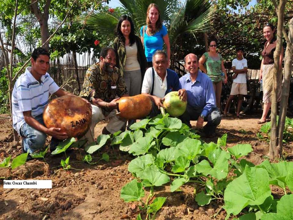 The Checo from the town of Zaña. Growing squash from which the Checos are made in the town of Zaña.. Photo: Juan Carlos La Serna