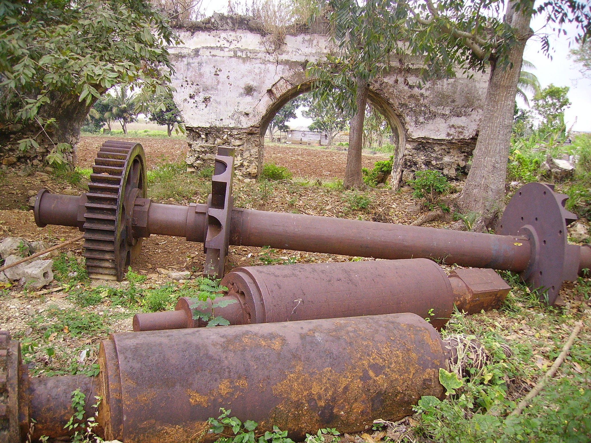 Ruins of the Alejandría sugar mill. Industrial elements of the sugar mill. CNM Archive