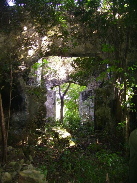 Ruins of the Santa Ana de Biajacas coffee plantation or El Padre . Ruins of the main house . Photo: Jorge Garcell