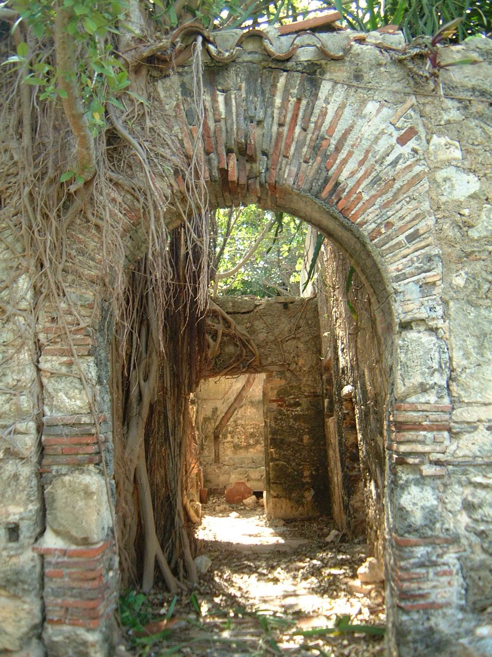 Ruinas del Ingenio Taoro ,  Interior del barracón . Foto: Archivo Comisión Nacional de Monumentos