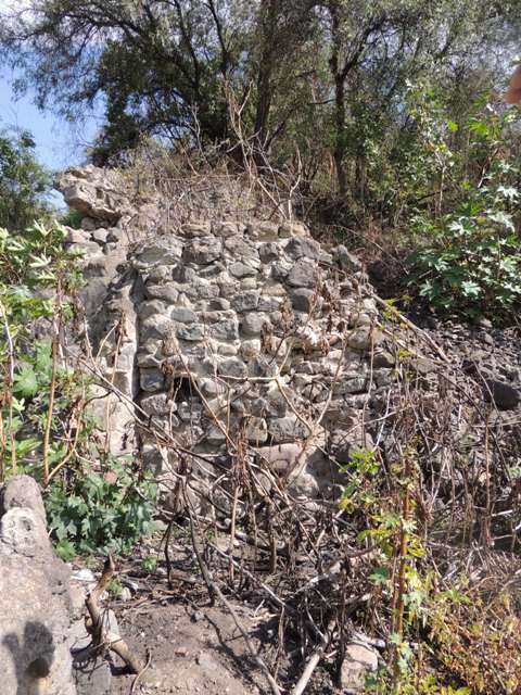 Trapiche de Chalguayacu . Vista de las ruinas del muro del trapiche de Chalguayacu . 