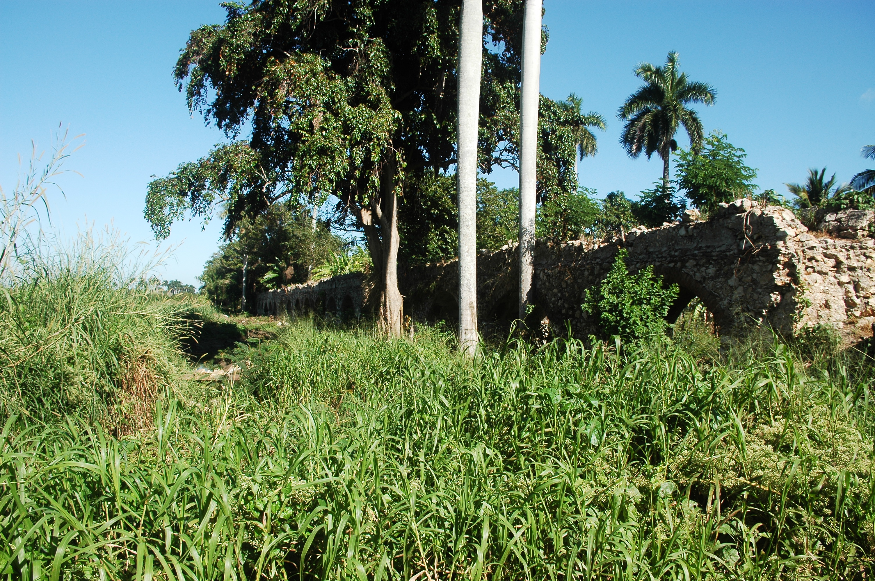 Ruins of the Alejandría sugar mill. Remains of the aqueduct of  Alejandría sugar mill. CNM Archive