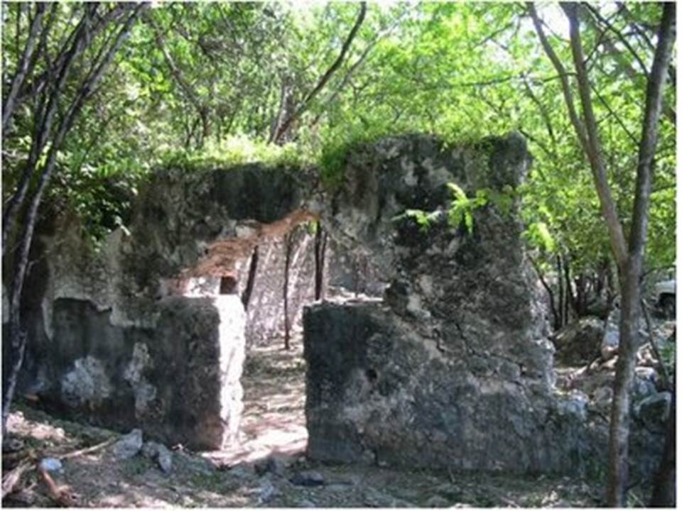 Ingenio Cepi-Cepi. Vista de las ruinas del ingenio Cepi-Cepi. 