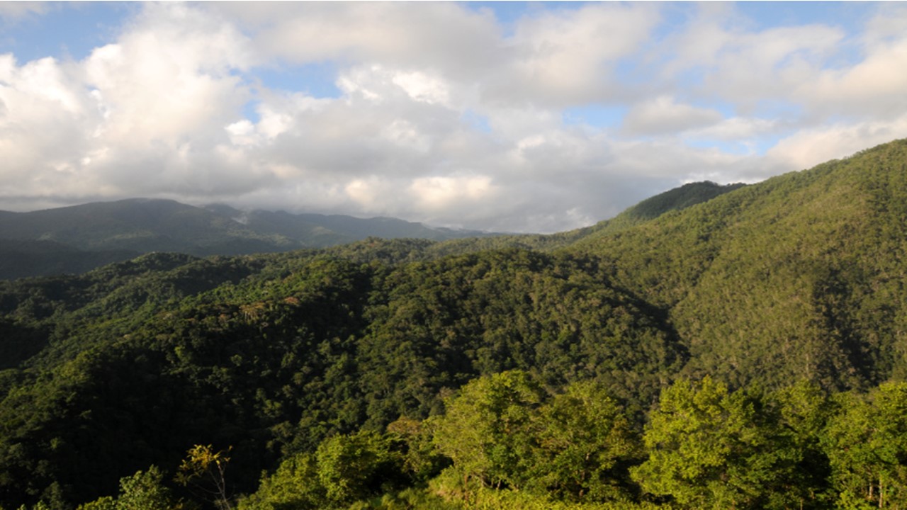 Sagua Baracoa mountain range. View of mountain range. Photo: Nilson Acosta