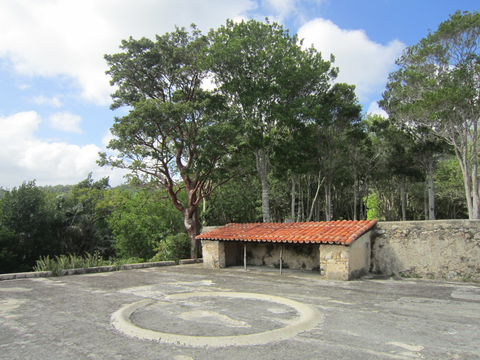 Sierra del Rosario. Vista de los secaderos.. Foto: Jorge Garcell